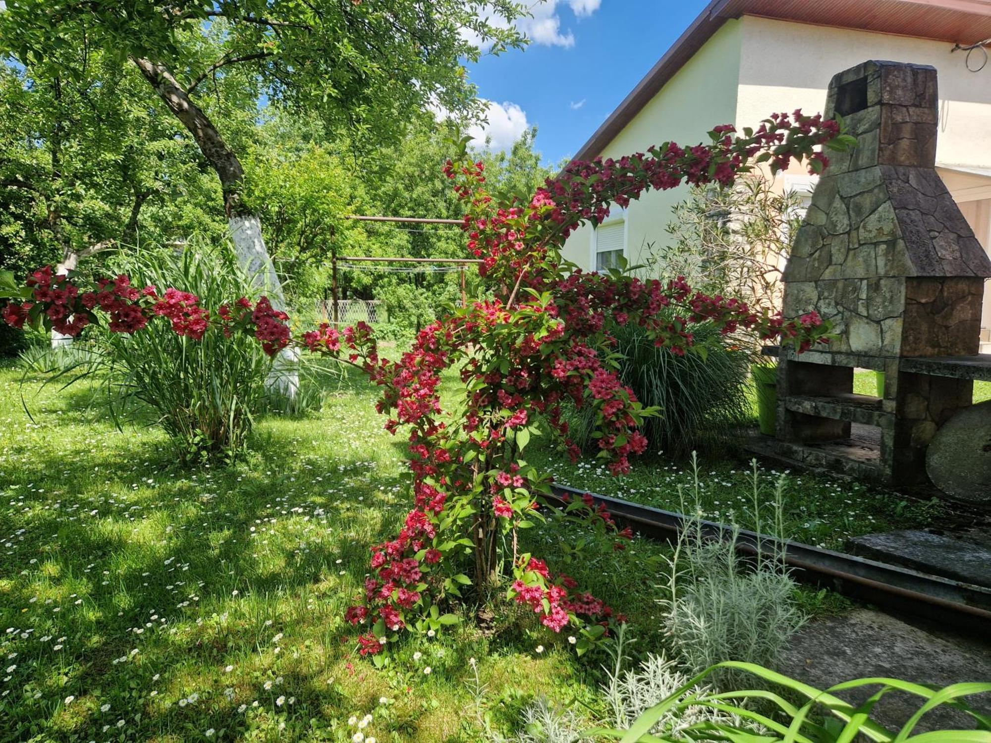 Studio Apartman Marica - Ogulin, Hrvatska Esterno foto