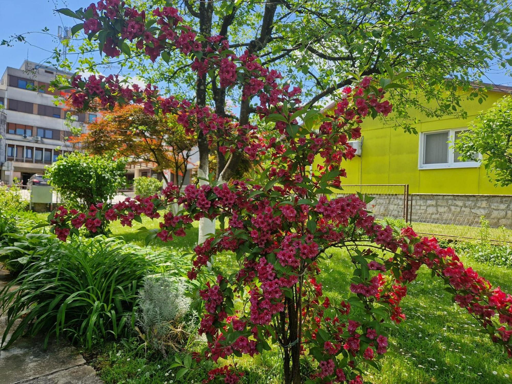 Studio Apartman Marica - Ogulin, Hrvatska Esterno foto