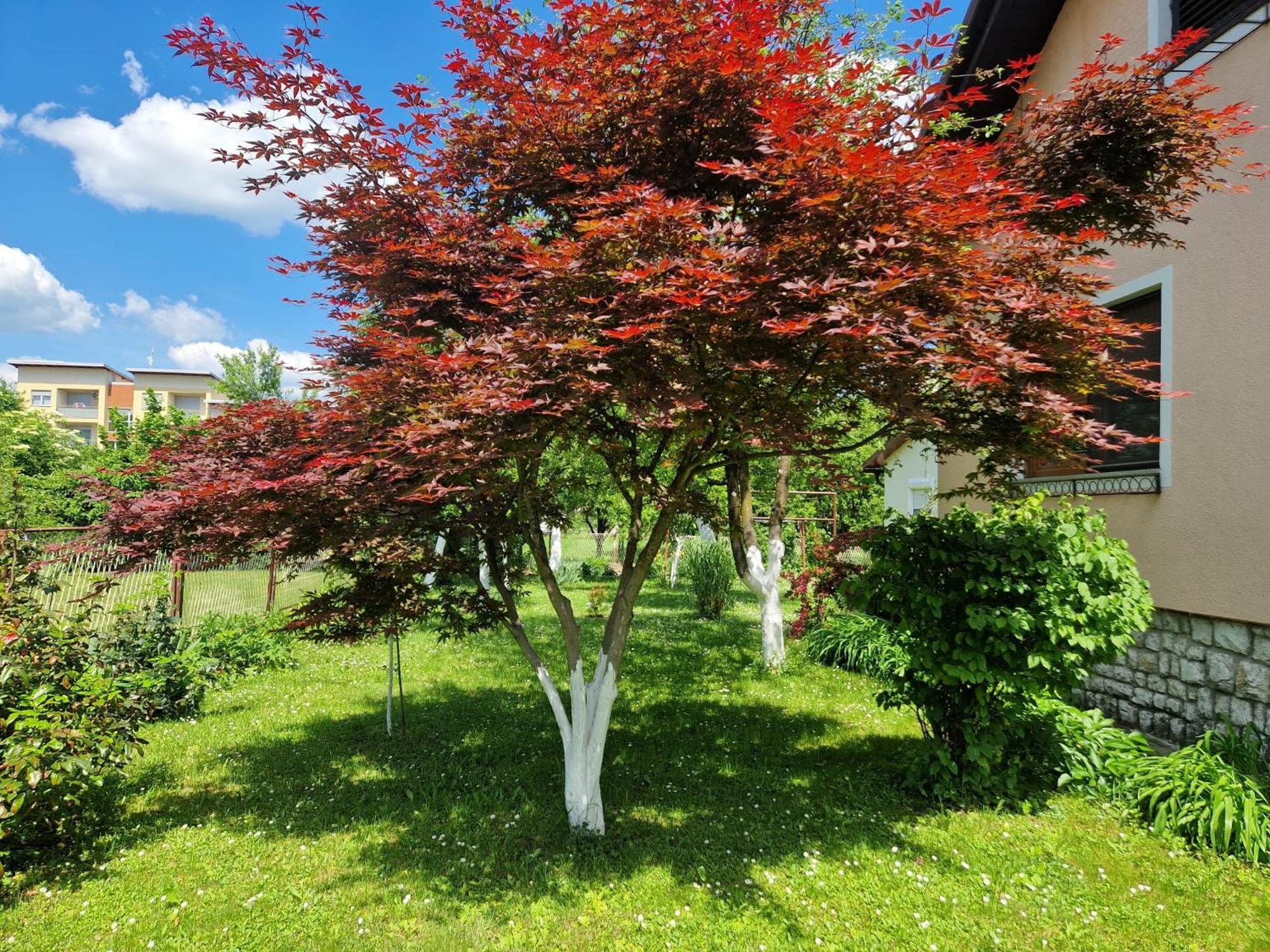 Studio Apartman Marica - Ogulin, Hrvatska Esterno foto